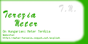 terezia meter business card